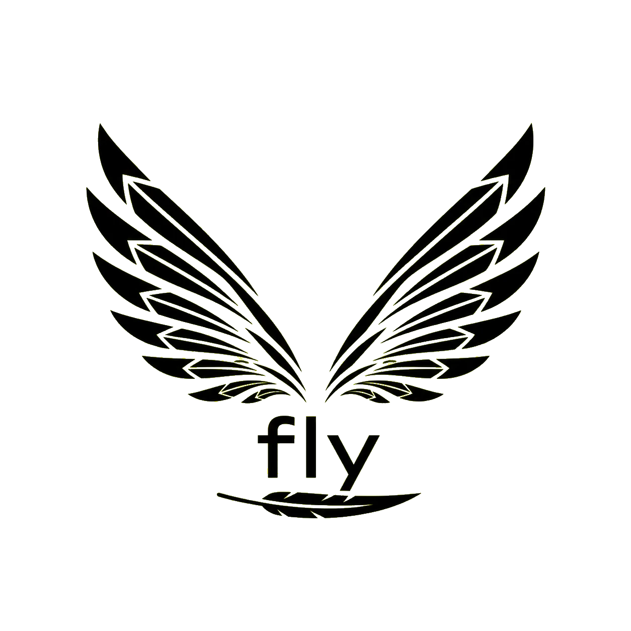 FLY